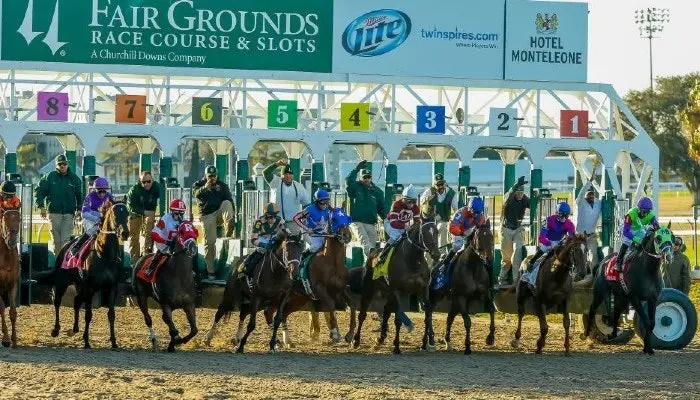 horse race startup seen from the front