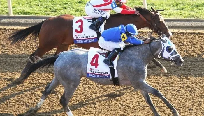 2 horse jockeys viewed from the side