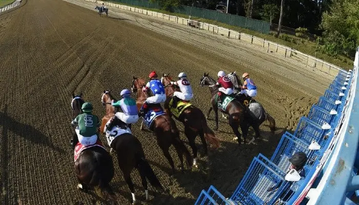 racing horses taking off
