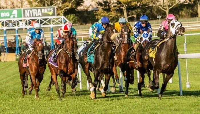 A group of jockeys and horses racing on a grass track at Aqueduct Racetrack.