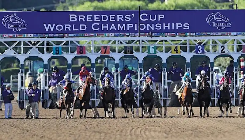Gambling News 8 Horses launch out of the starting gate at the Breeders’ Cup World Championships.