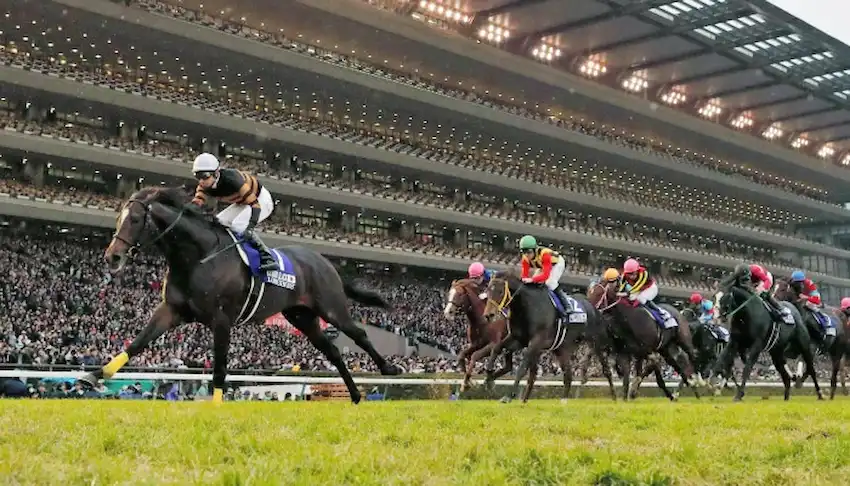 Gambling News 9 A racehorse pulls ahead of the field during a major horse race.