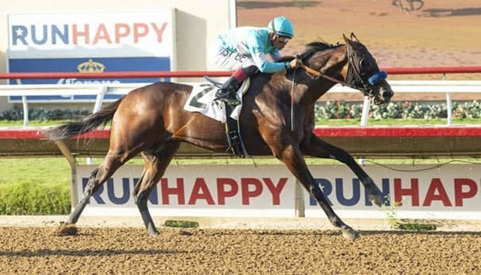 2021 american pharoah stakes pic