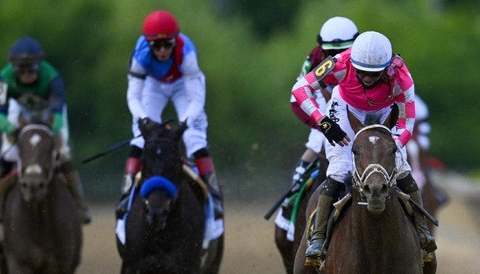 Gambling News 11 2021 Belmont Stakes Odds and Predictions