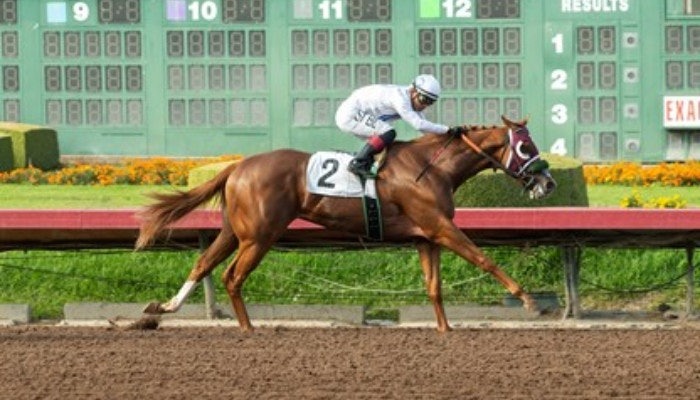 Gambling News 7 2021 bob hope stakes picks