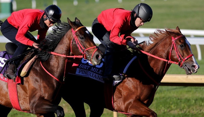 2021 breeders cup dirt mile prev