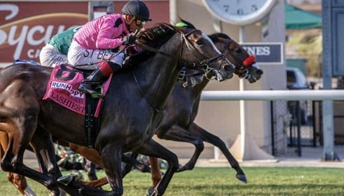 2021 del mar derby picks