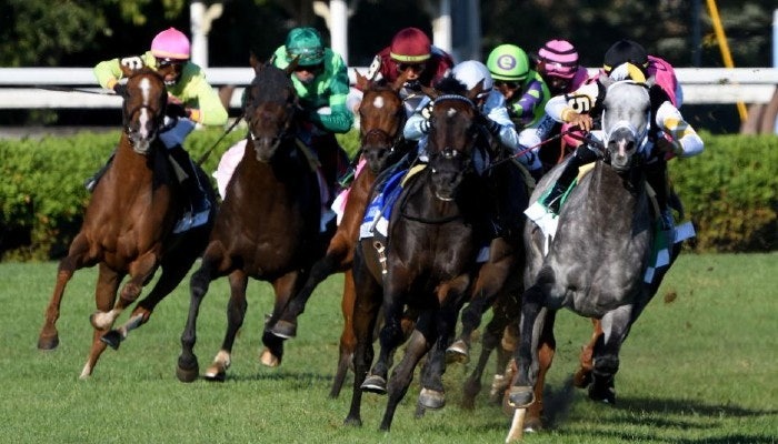 Gambling News 7 2021 fourstardave handicap picks