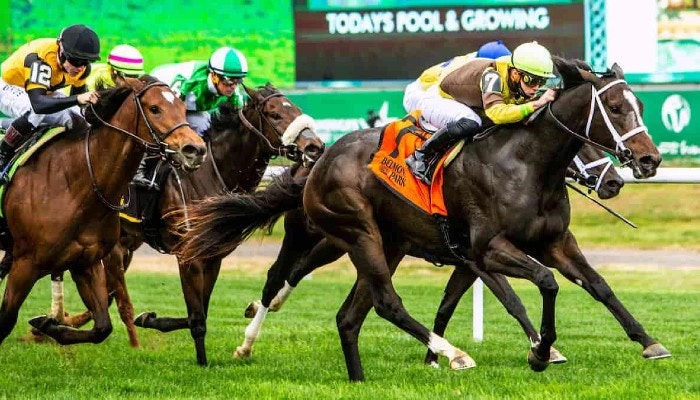 2021 hill prince stakes picks