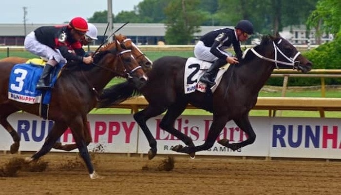 Gambling News 10 2021 iroquois stakes picks