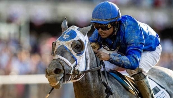 2021 jim dandy stakes prediction
