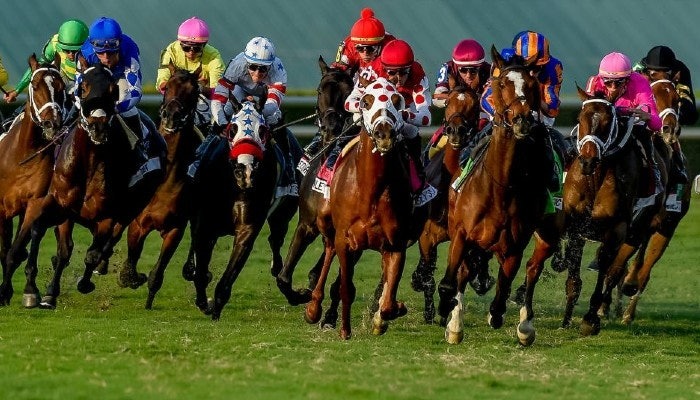 Betting Saturday’s $3 Million Pegasus World Cup Stakes Race
