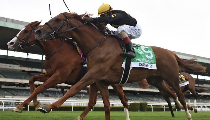 Gambling News 9 2021 red smith stakes picks