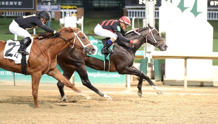 Gambling News 10 2021 remington springboard mile