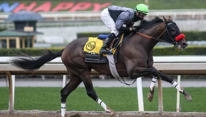 2021 san antonio stakes picks