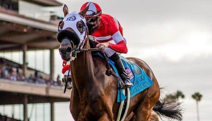 Gambling News 8 2021 San Juan Capistrano Stakes Odds, Picks and Preview