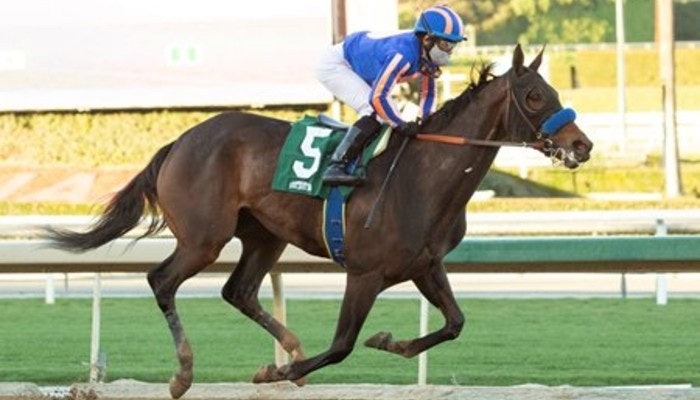 Gambling News 10 2021 Santa Margarita Stakes Odds and Predictions