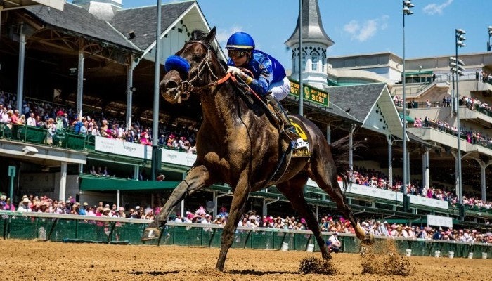 Gambling News 8 2021 Stephen Foster Stakes Odds and Predictions