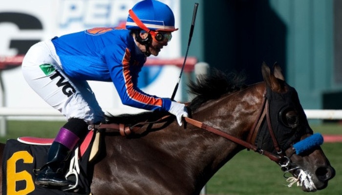 2022 Hollywood Gold Cup Stakes Odds and Picks