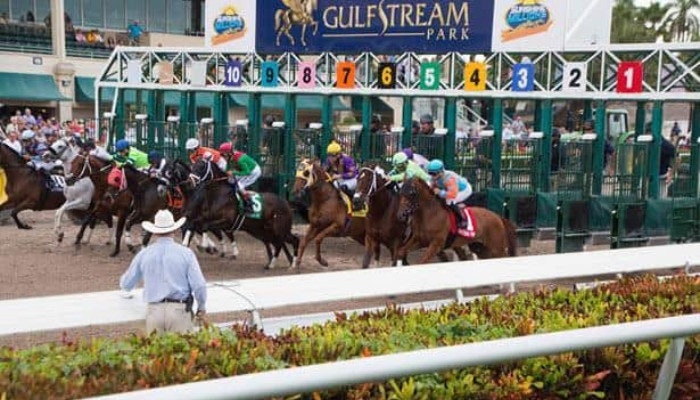 Gambling News 10 2022 Holy Bull Stakes Odds and Picks