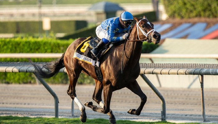 2022 Maker’s Mark Mile Odds and Predictions