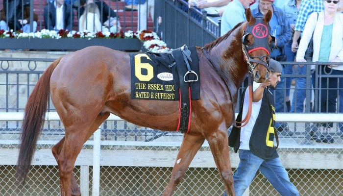 Gambling News 7 2022 Oaklawn Handicap Odds and Picks