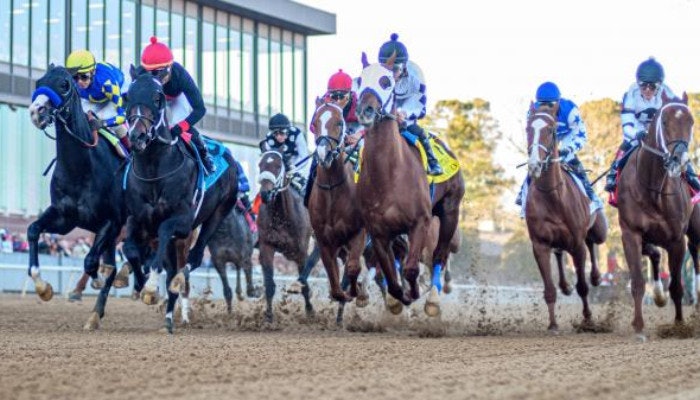 2022 Rebel Stakes Odds and Picks