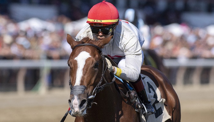 Gambling News 7 2022 Sam F. Davis Stakes Odds and Picks