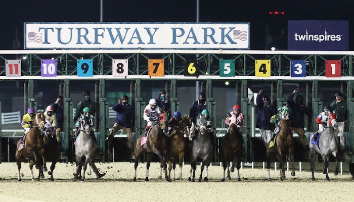 Gambling News 11 2022 Turfway Prevue Odds and Predictions