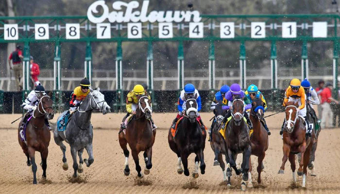 2023 Rebel Stakes Odds and Picks