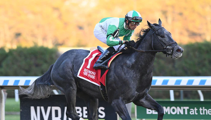 2023 Sham Stakes Odds and Picks