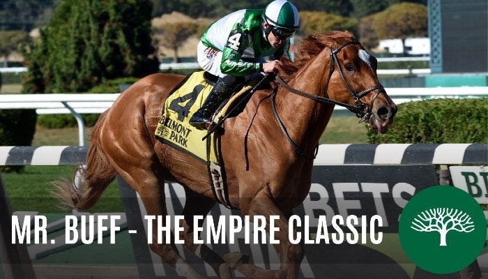 Gambling News 11 Betting Belmont Park’s Featured Weekend Horse Races