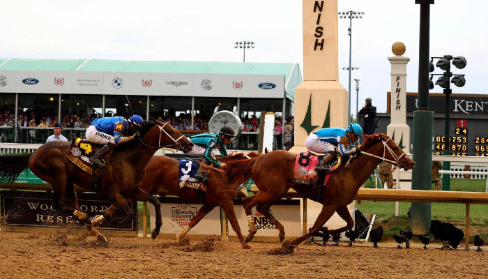 Horse Racing Betting Terms Explained