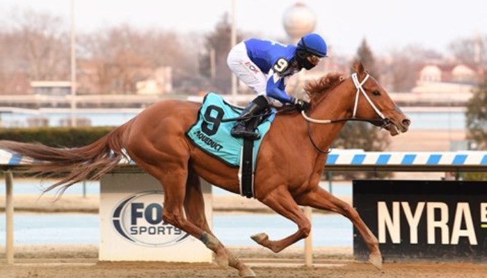 Horse Racing Picks for Saturday, April 9th 2022