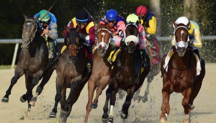 Gambling News 12 Predicting the 2022 Pasco Stakes and California Cup Derby