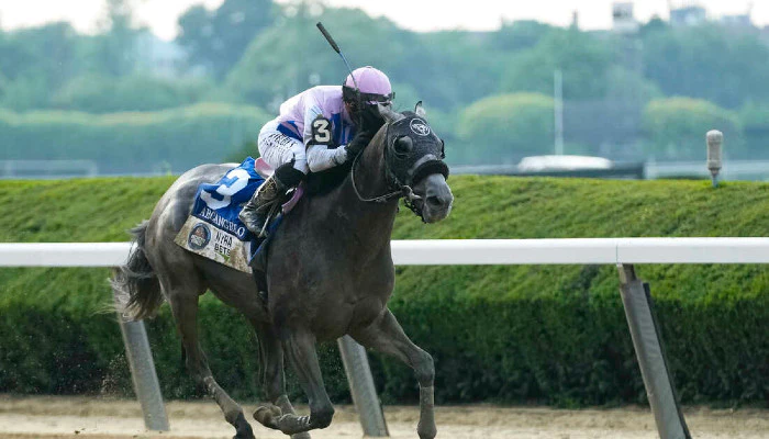 Horse Racing Lay Betting Guide