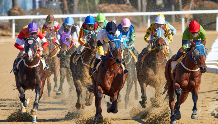 Gambling News 7 Most Popular Horse Races in the US to Bet On
