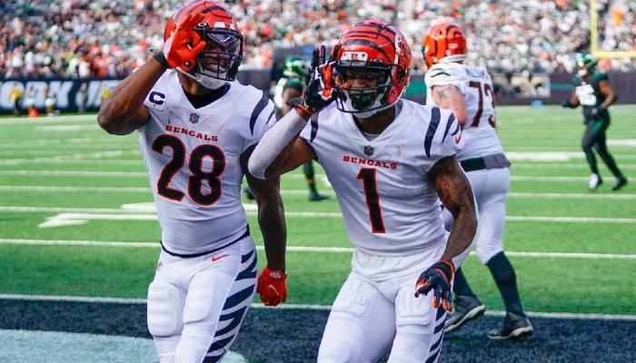 nfl week 12 betting preview