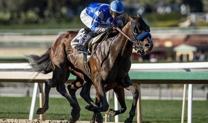 Close Out Your 2020 Horse Betting at Santa Anita Park