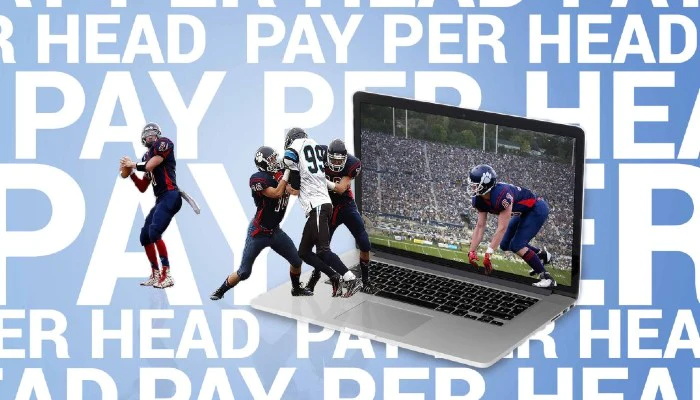 Give Yourself the Gift of Quality Pay Per Head Bookie Services