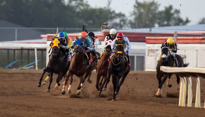 Horse Racing Betting Strategies