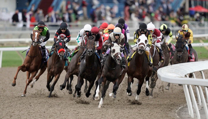 Gambling News 9 Top Horse Races in Canada to Bet On