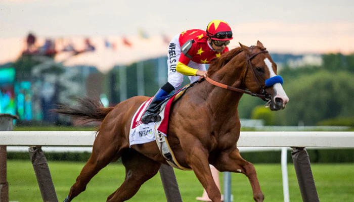 Gambling News 7 How Many Horses Have Won the Triple Crown?