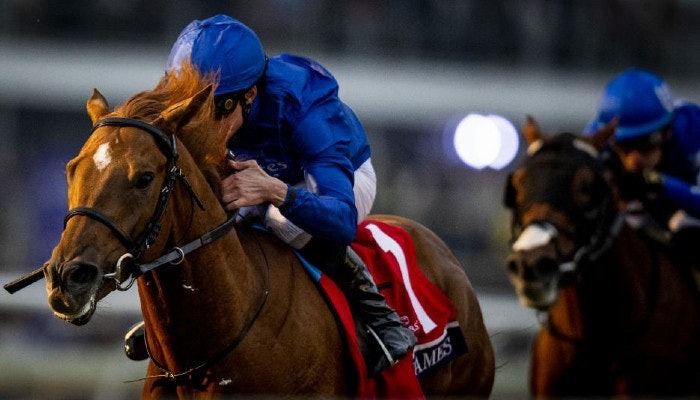 2022 Ricoh Woodbine Mile Odds and Picks