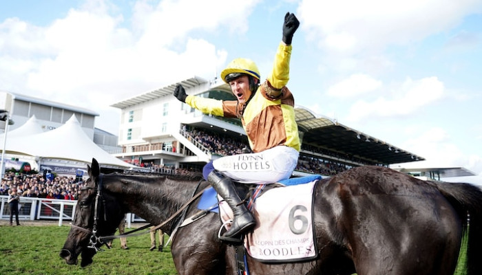 Gambling News 8 Here are the top tips for betting on the Cheltenham Festival.