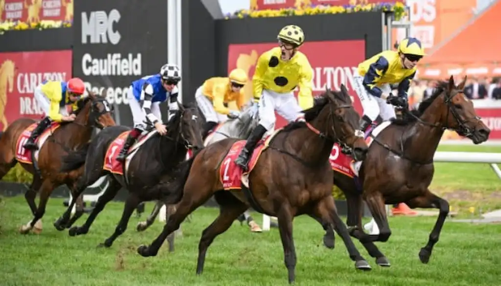 A group of jockeys race toward the finish line during the Caulfield Cup.
