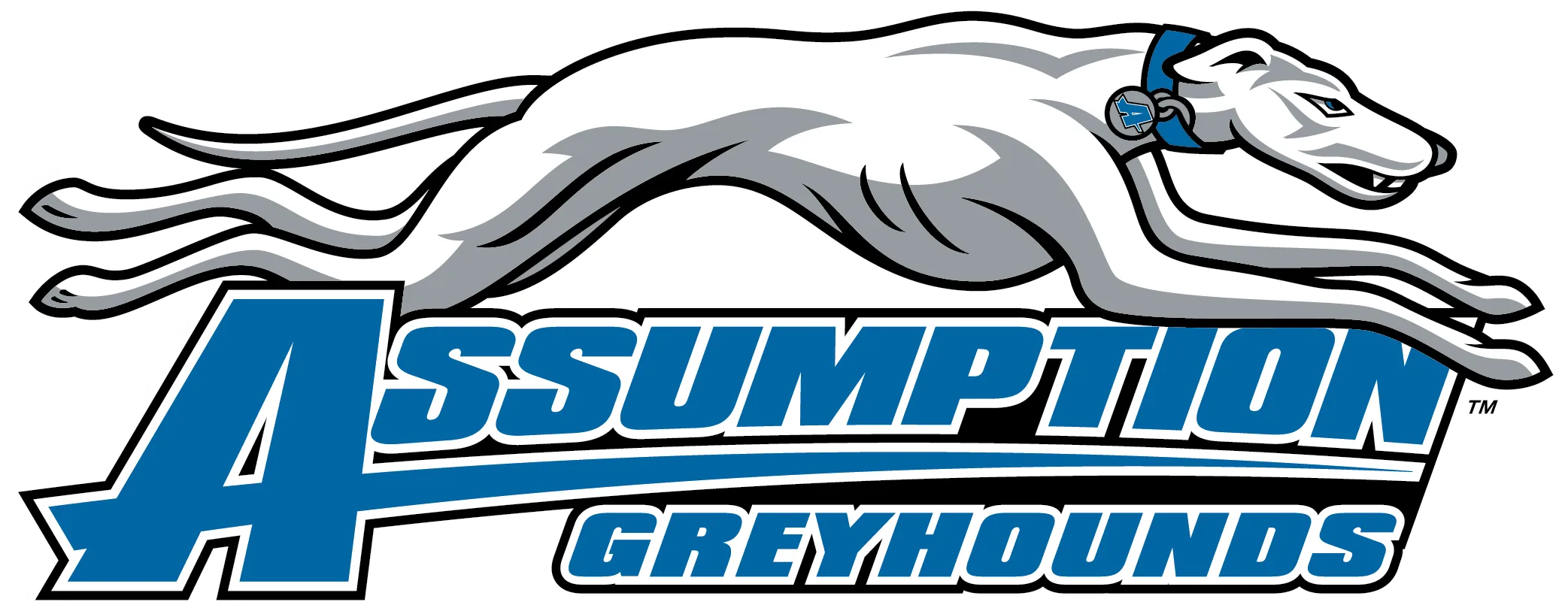 Teams NCAAF 6 assumption-greyhounds-logo
