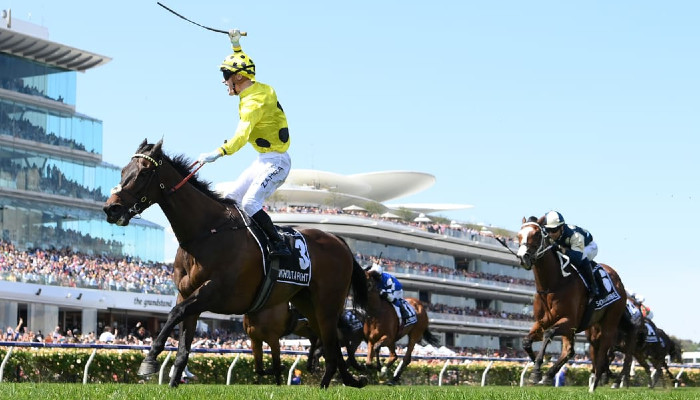 Melbourne Cup Betting Guide