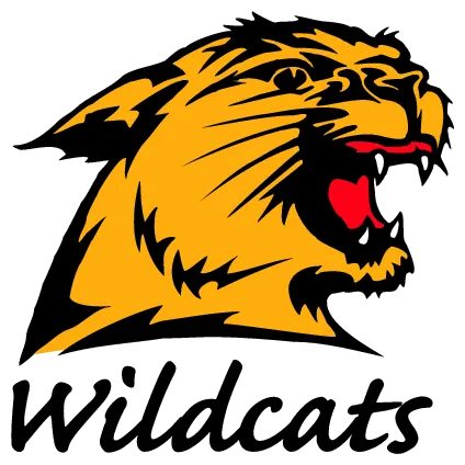 Teams NCAAF 7 northern-michigan-wildcats-logo