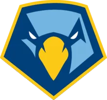 Teams NCAAF 9 point-skyhawks-logo